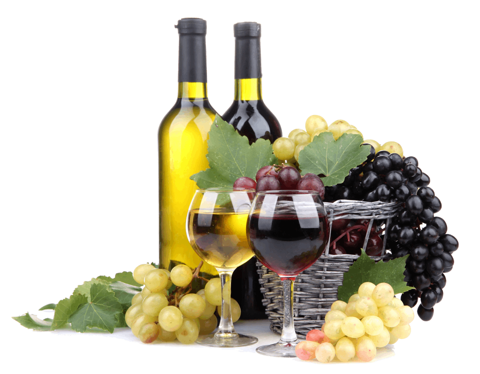bouteilles de vin et raisins